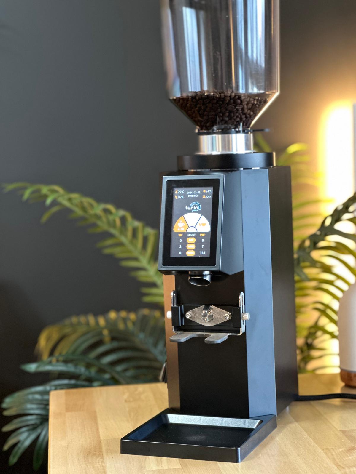 Turin ZF83 Commercial Espresso Grinder - Commercial Espresso Grinder | Altohaus