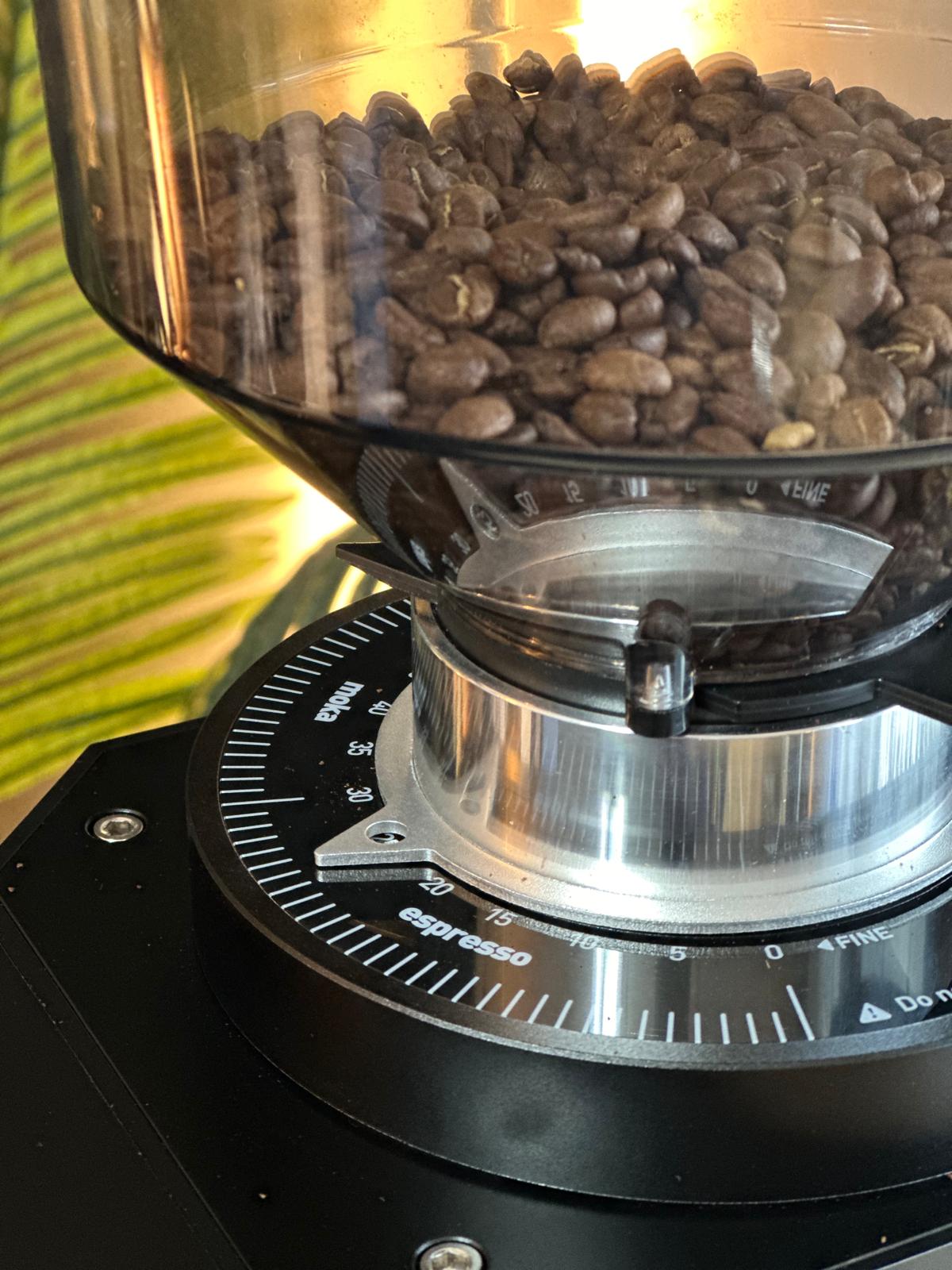 Turin ZF83 Commercial Espresso Grinder - Commercial Espresso Grinder | Altohaus