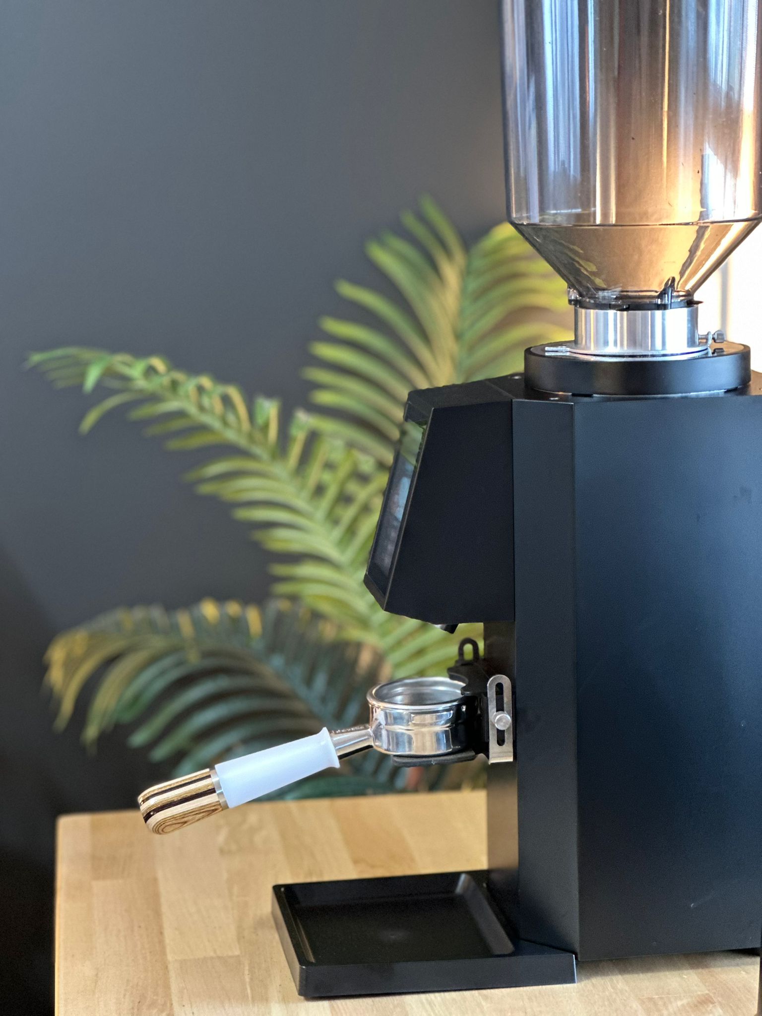 Turin ZF83 Commercial Espresso Grinder - Commercial Espresso Grinder | Altohaus