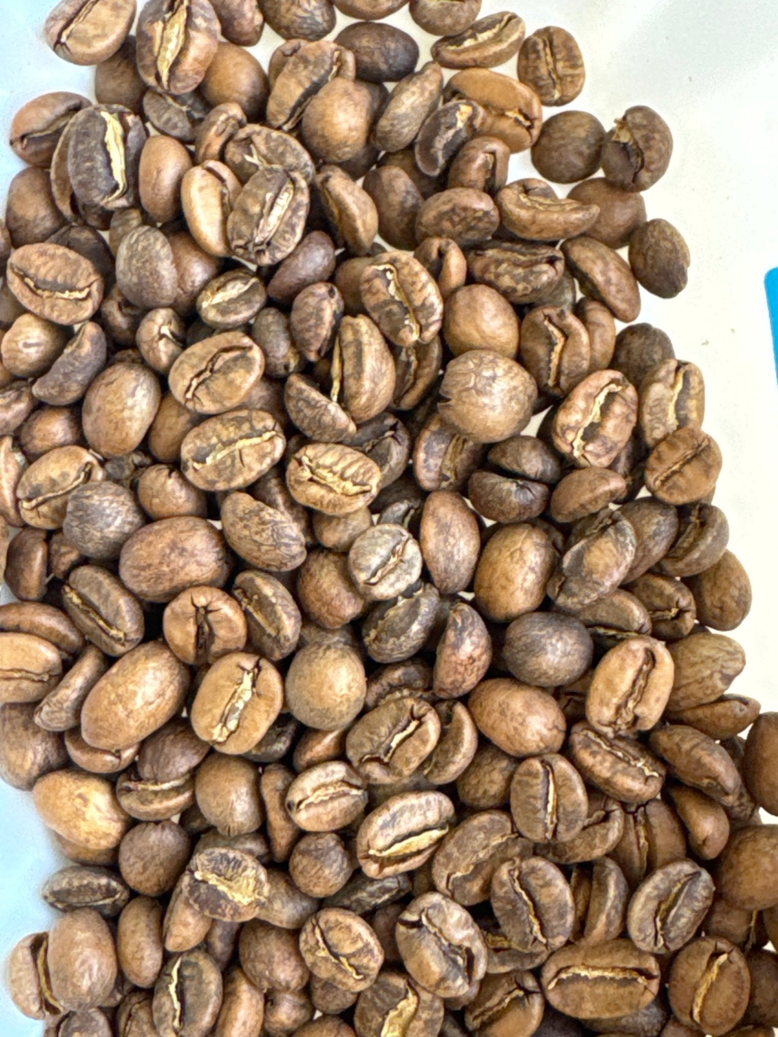Peru Aromas del Valle Merly Leon G1 Washed Organic - Rosted Coffee | Altohaus