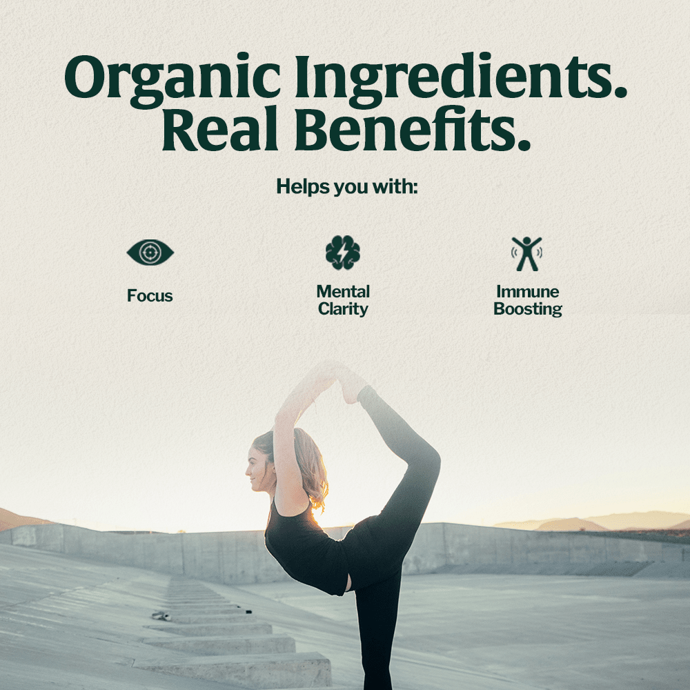 Organic Mushroom Coffee Fusion - Lion's Mane & Chaga - Beans & Ground | Altohaus