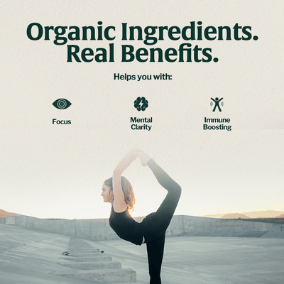 Organic Mushroom Coffee Fusion - Lion's Mane & Chaga - Beans & Ground | Altohaus