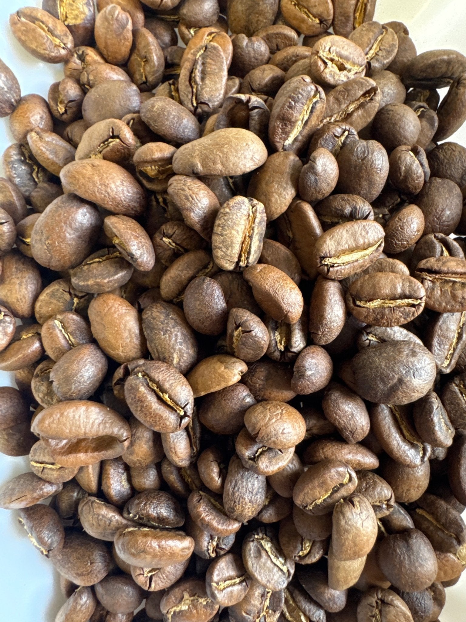 Fudgy Cake Espresso Blend - Rosted Coffee | Altohaus