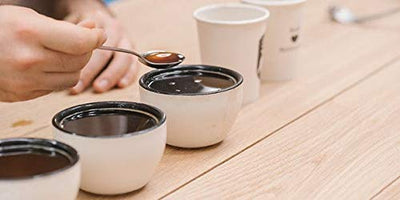 Specialty Coffee Association (SCA) Compliant - Coffee Cupping Spoon - Set of 4 Spoons - Barista Tools | Altohaus