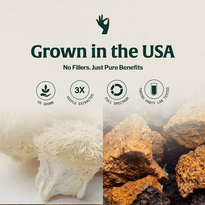Organic Mushroom Coffee Fusion - Lion's Mane & Chaga - Beans & Ground | Altohaus