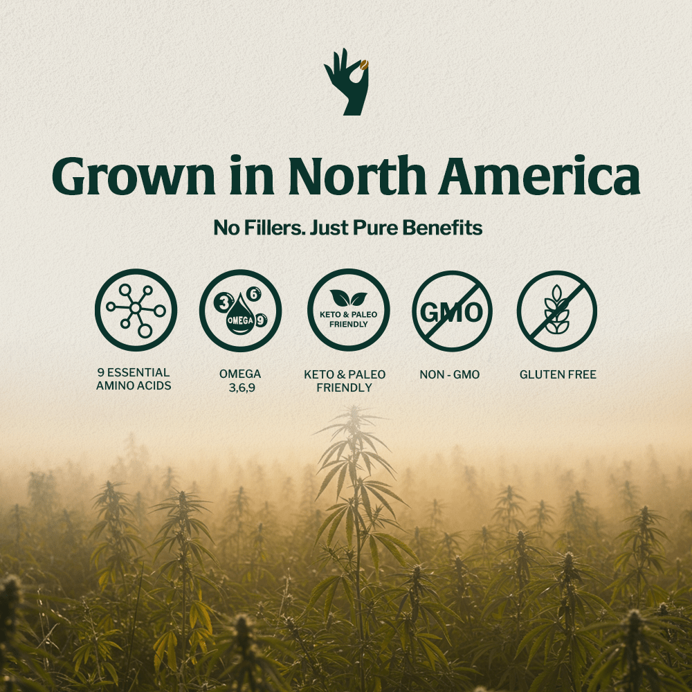 Organic Hemp Coffee Fusion - Beans & Ground | Altohaus