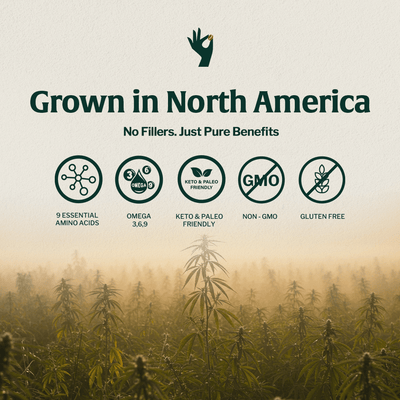Organic Hemp Coffee Fusion - Beans & Ground | Altohaus