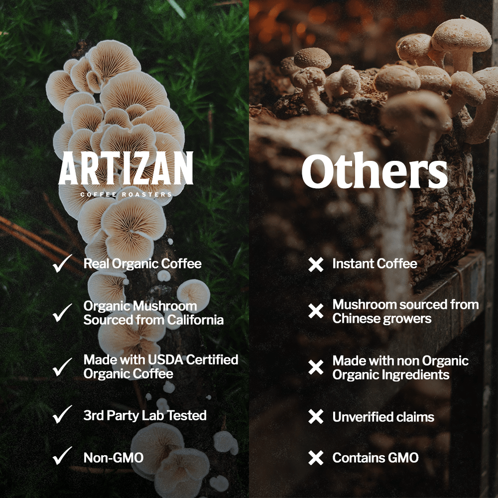Organic Mushroom Coffee Fusion - Lion's Mane & Chaga - Beans & Ground | Altohaus