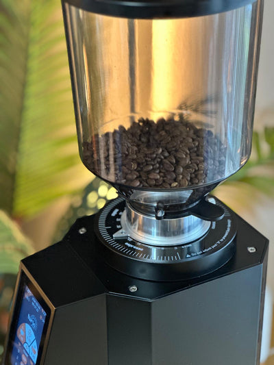 Turin ZF83 Commercial Espresso Grinder - Commercial Espresso Grinder | Altohaus