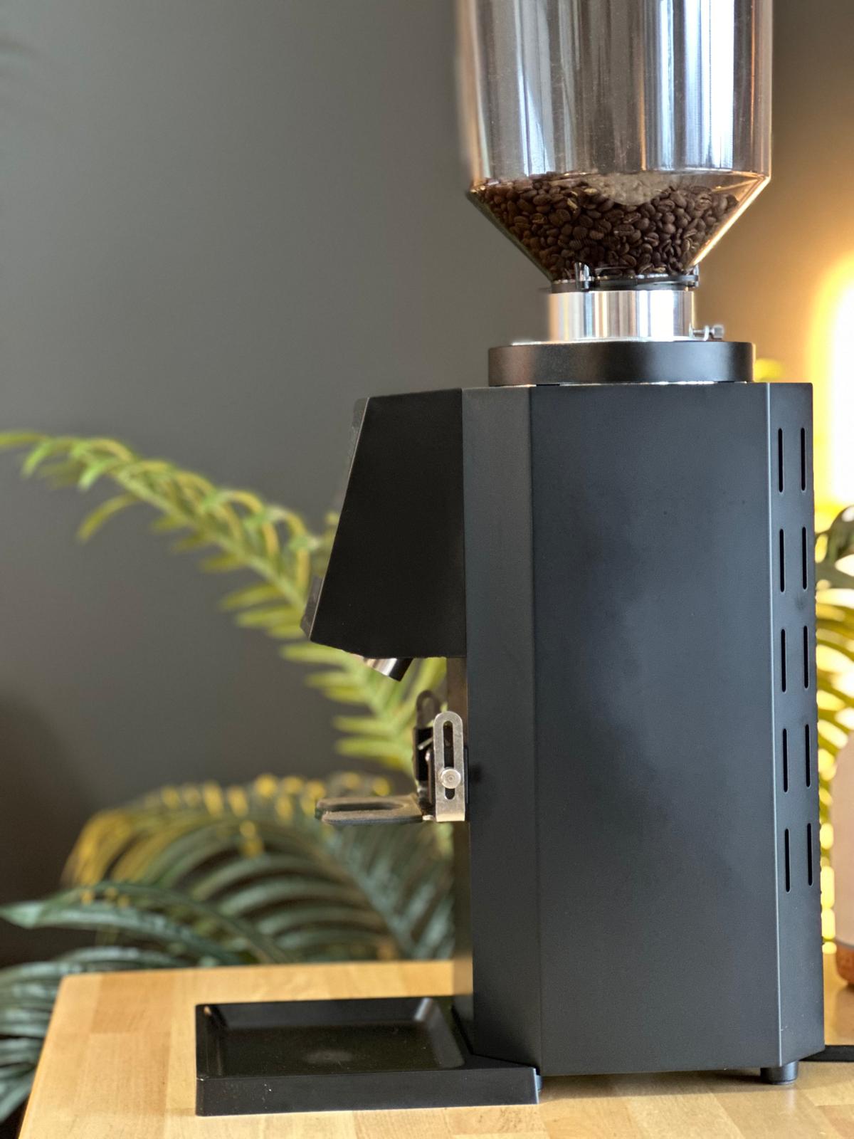 Turin ZF83 Commercial Espresso Grinder - Commercial Espresso Grinder | Altohaus