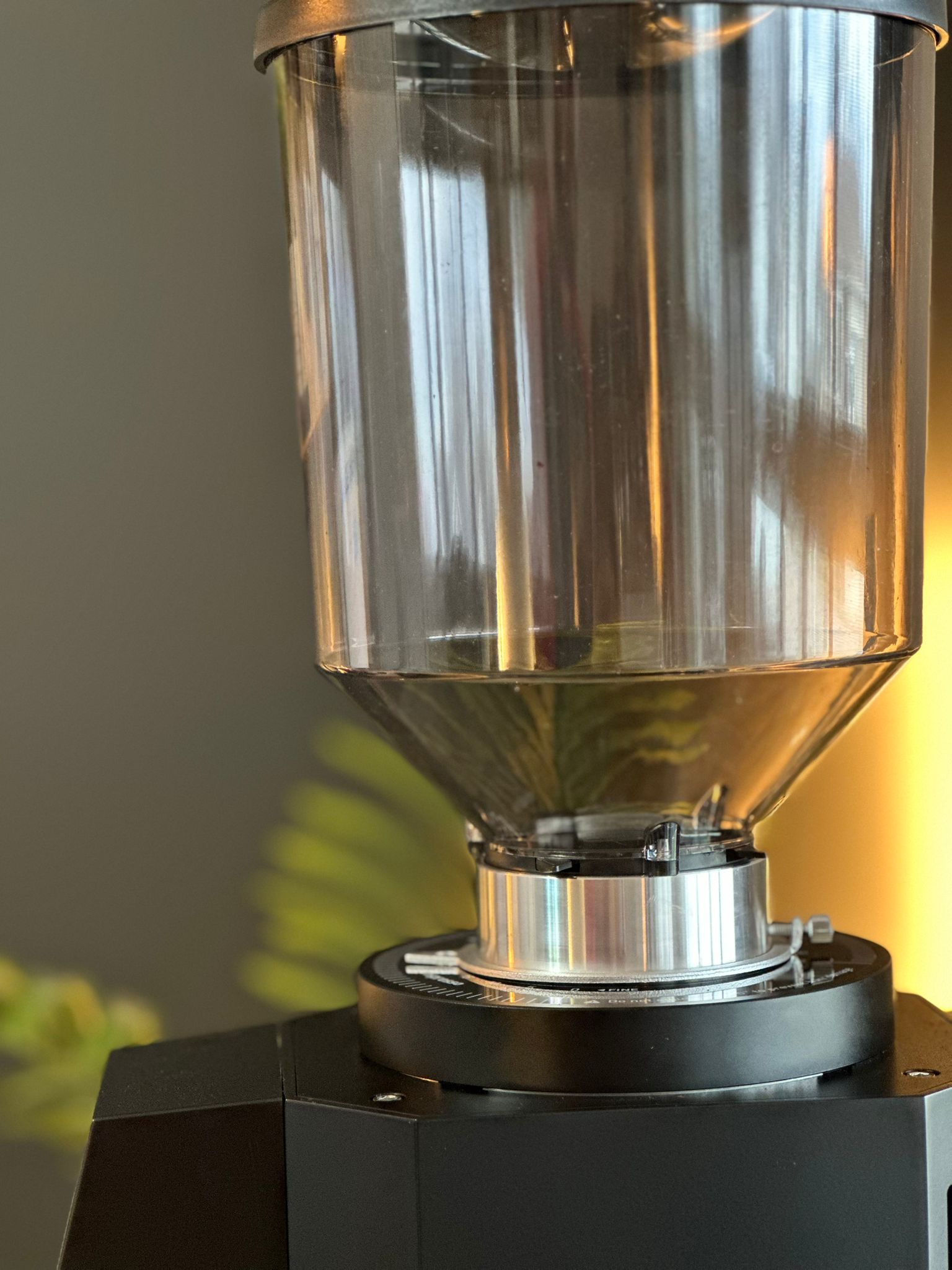 Turin ZF83 Commercial Espresso Grinder - Commercial Espresso Grinder | Altohaus