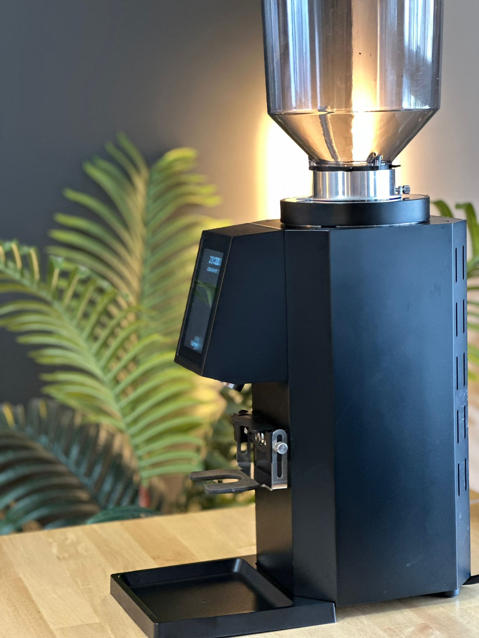 Turin ZF83 Commercial Espresso Grinder - Commercial Espresso Grinder | Altohaus