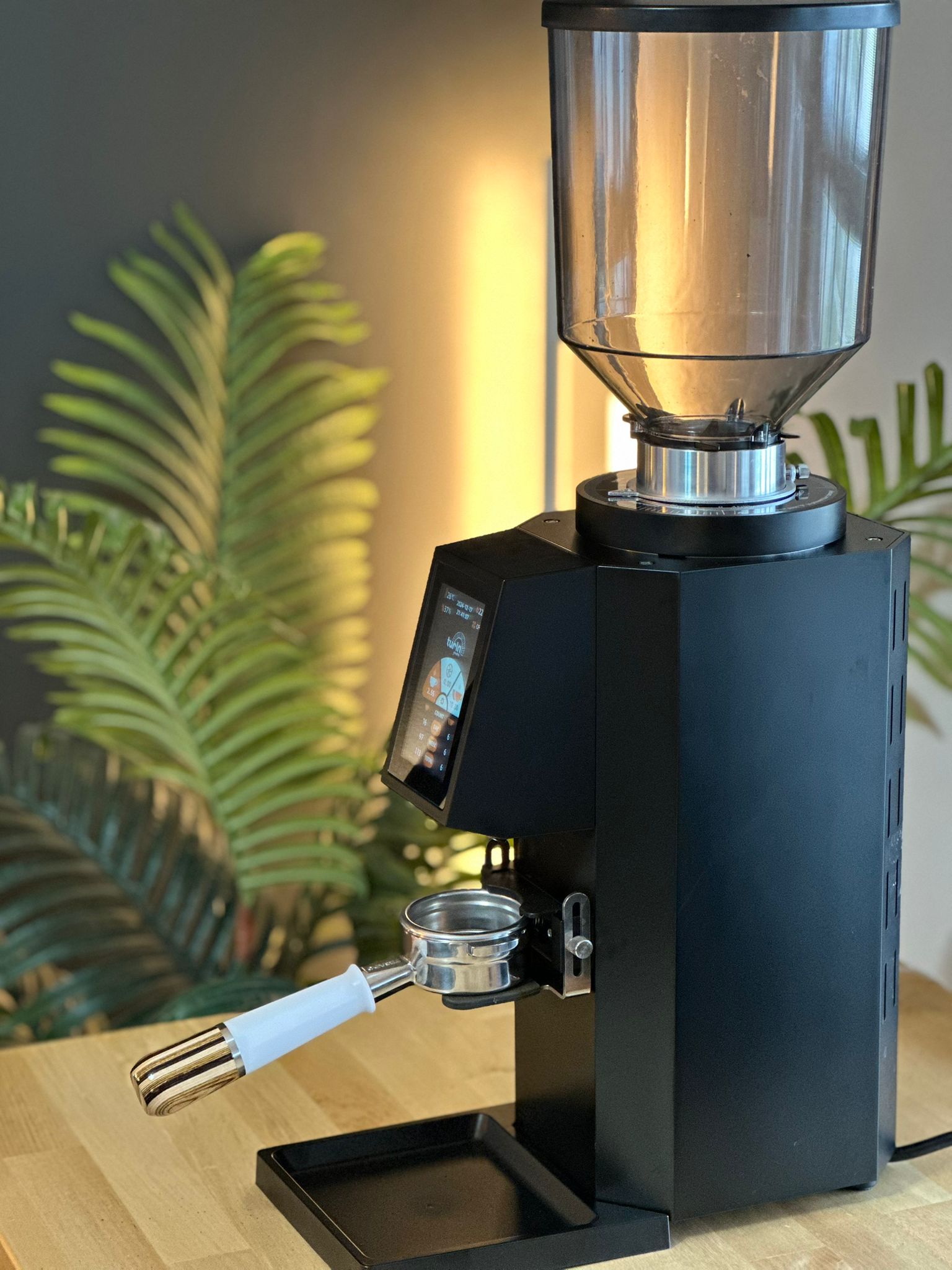 Turin ZF83 Commercial Espresso Grinder - Commercial Espresso Grinder | Altohaus