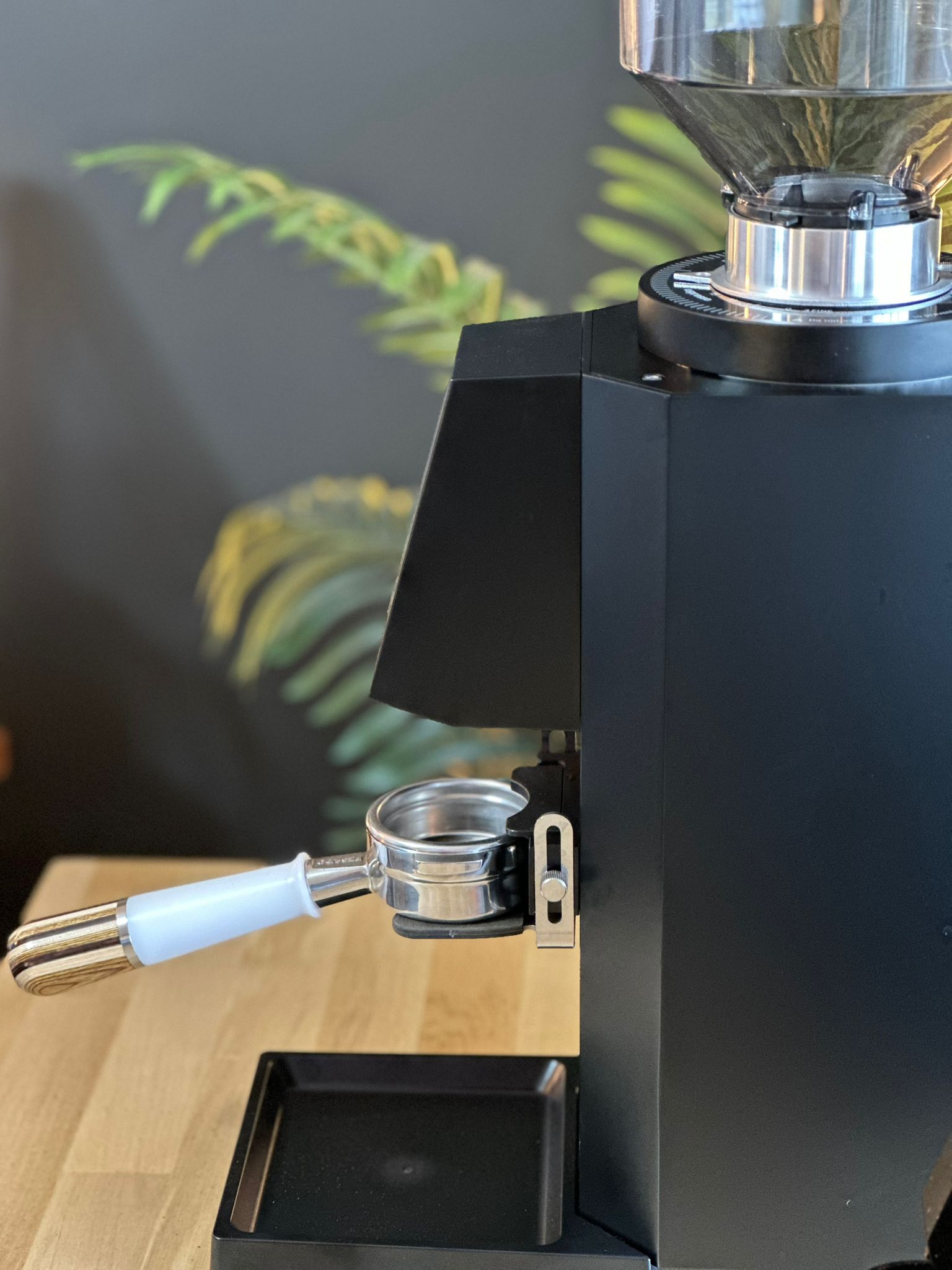 Turin ZF83 Commercial Espresso Grinder - Commercial Espresso Grinder | Altohaus