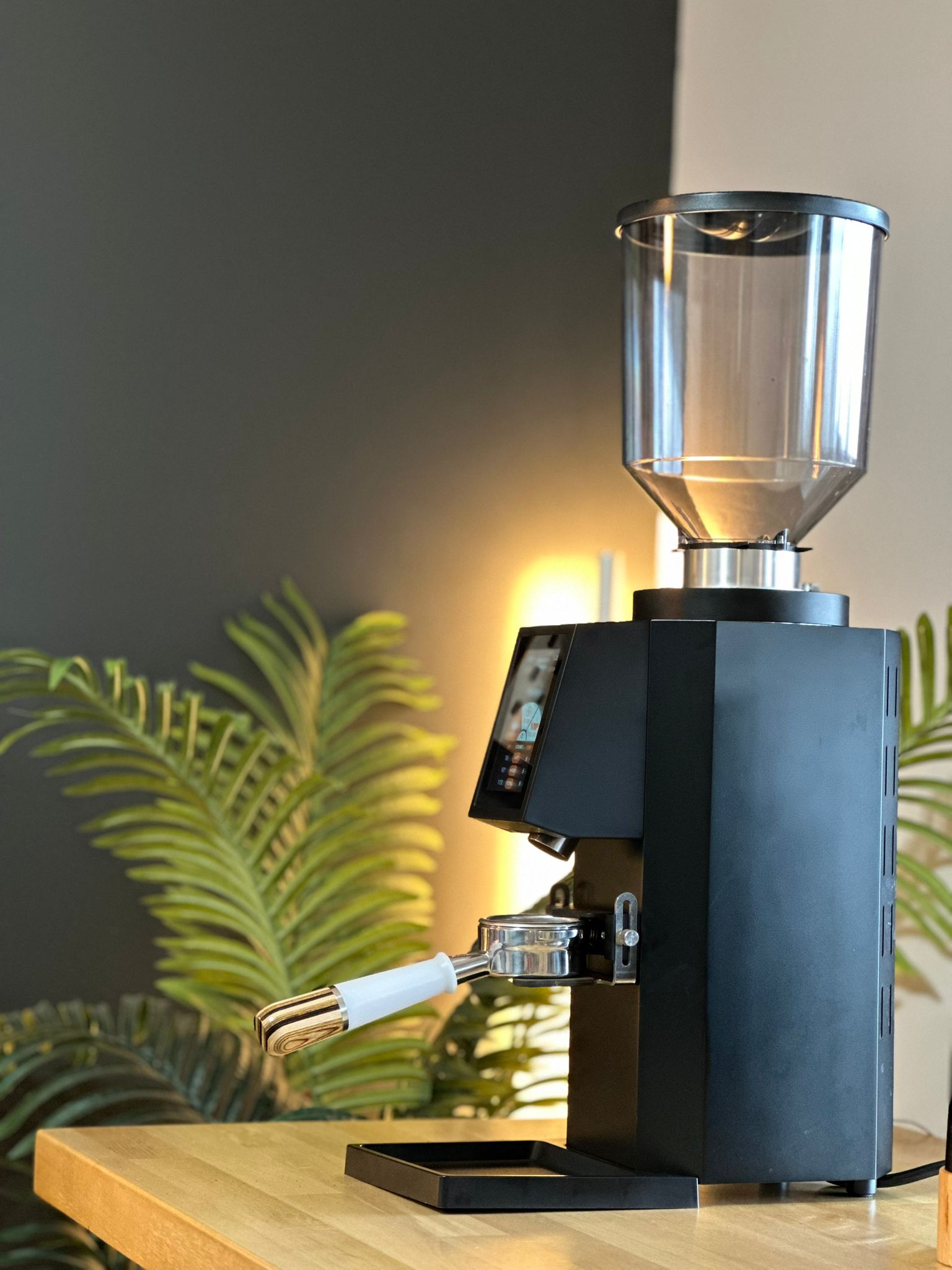 Turin ZF83 Commercial Espresso Grinder - Commercial Espresso Grinder | Altohaus