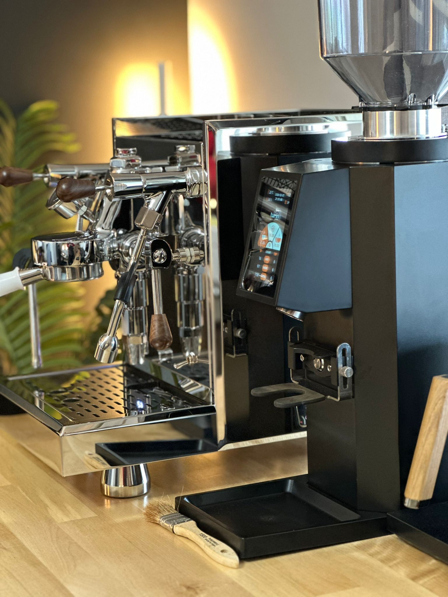 Turin ZF83 Commercial Espresso Grinder - Commercial Espresso Grinder | Altohaus