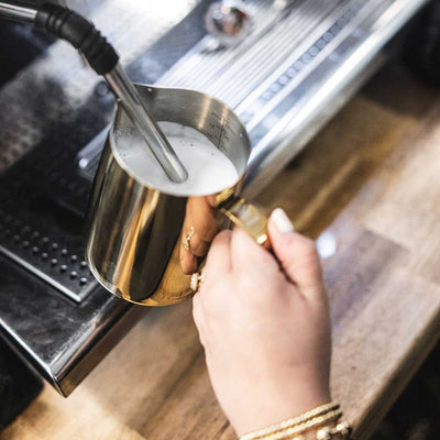 Barista Basics Milk Frothing Pitcher, 20oz, Gold - Milk Pitcher | Altohaus