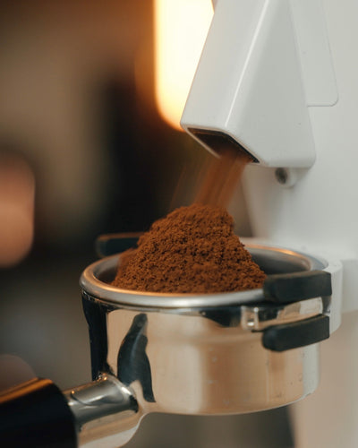 Turin DF64 Gen 2.5 Single Dose Coffee Grinder - Coffee Grinder | Altohaus