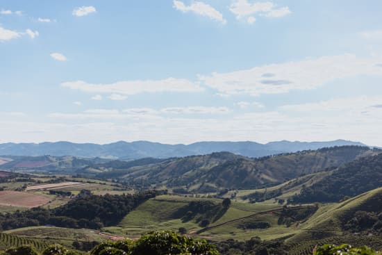 Brazil Serra Negra Natural - Rosted Coffee | Altohaus