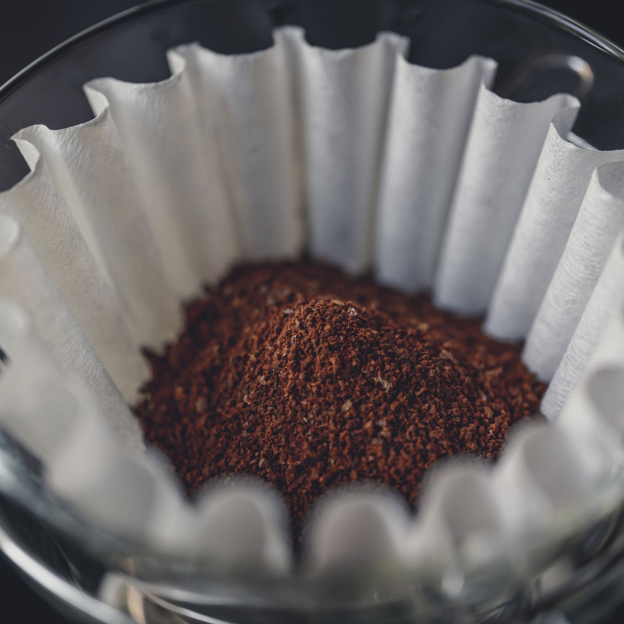 Kalita Wave 155 Filter (100ct) - Coffee Filter | Altohaus
